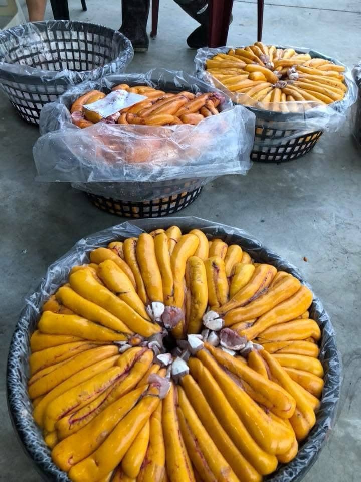 籃中分級整理的烏魚卵